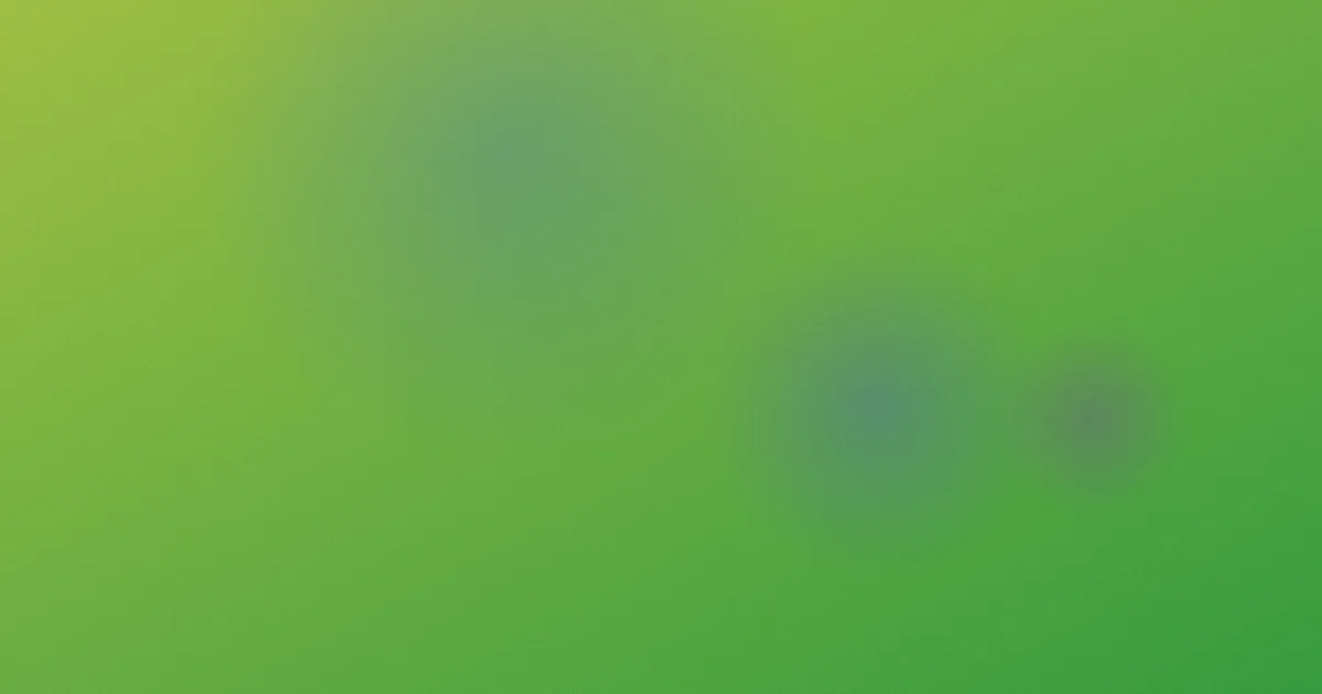 名单测评：别踩这几个坑